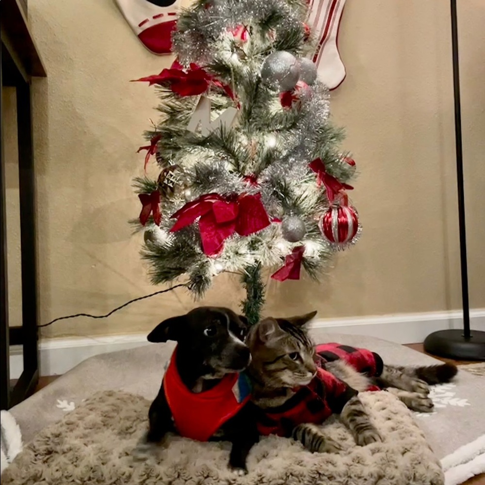 Meet your Posher, Valeria